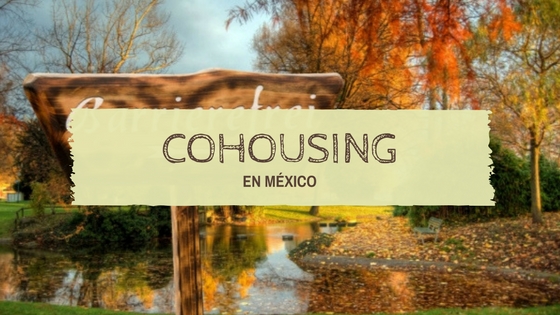 cohousing en mxico