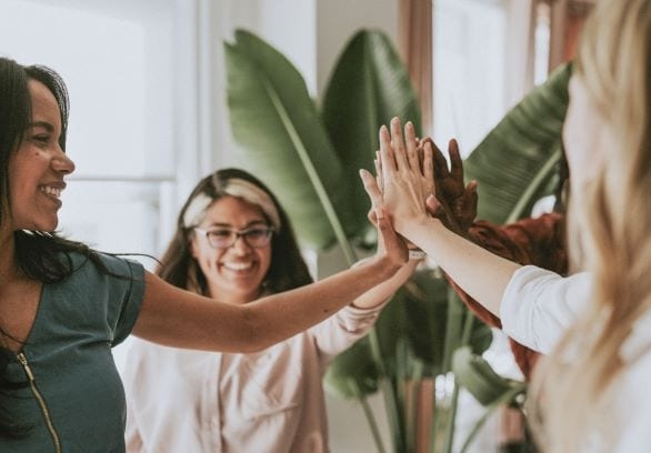 sororidad entre mujeres sororidad entre mujeres